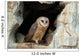 Wise Owl
