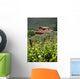 Typical Tuscan Landscape