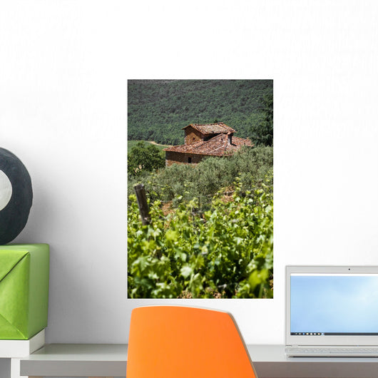 Typical Tuscan Landscape