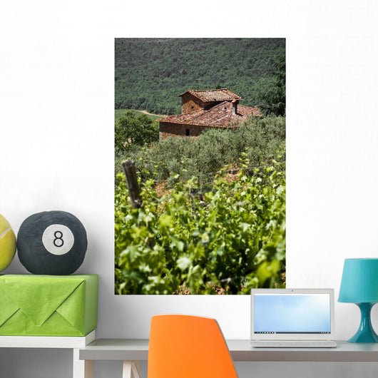Typical Tuscan Landscape