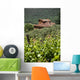 Typical Tuscan Landscape