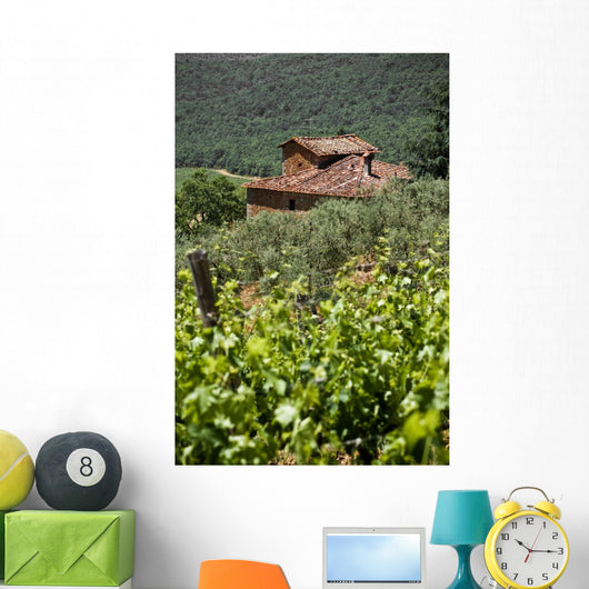 Typical Tuscan Landscape