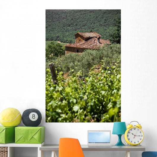 Typical Tuscan Landscape