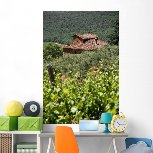 Typical Tuscan Landscape