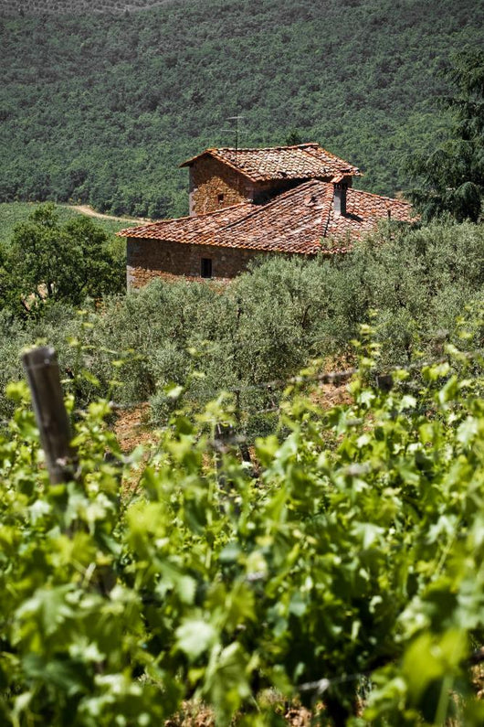 Typical Tuscan Landscape