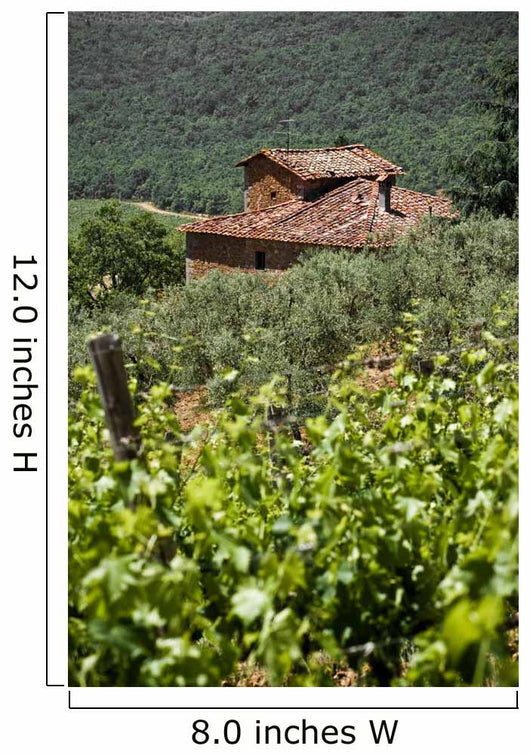 Typical Tuscan Landscape