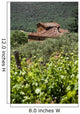 Typical Tuscan Landscape