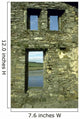 Ireland Castle Ruin Wall Mural