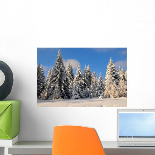 Winter forest landscape Schee Wall Mural