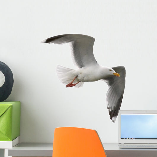 Seagull Wall Decal