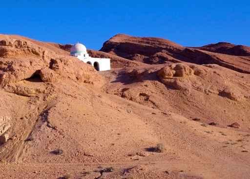 Hermitage Desert Wall Decal