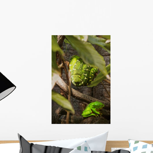 Emerald Tree Boa and Wall Mural