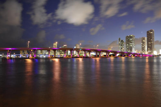 Miami Downtown Larga Visuale Wall Decal