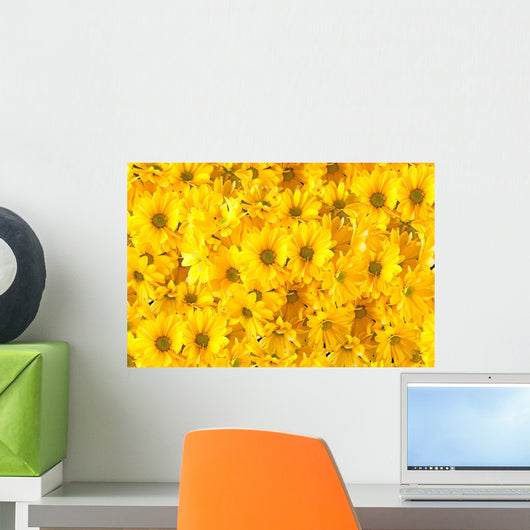 Yellow Gerberas Black