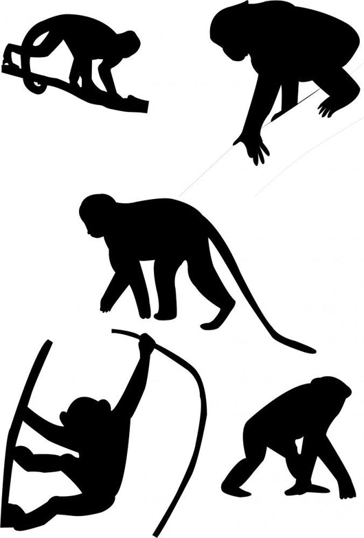 Monkeys Silhouettes Vector Wall Decal Sticker Set