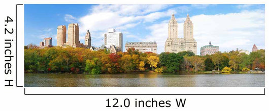 New York City Central