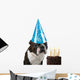 Big Birthday Hat Wall Mural
