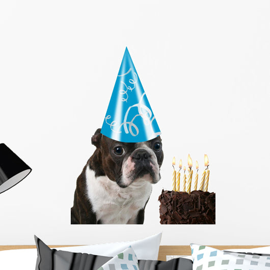 Big Birthday Hat Wall Mural