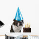 Big Birthday Hat Wall Mural