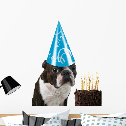 Big Birthday Hat Wall Mural