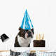 Big Birthday Hat Wall Mural