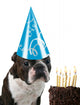 Big Birthday Hat Wall Mural
