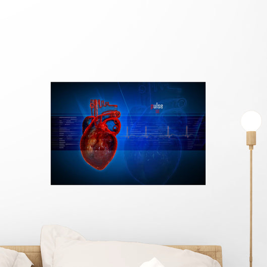 Human Heart