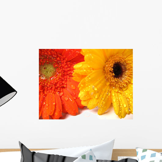 waterdrops on flowers Wall Mural
