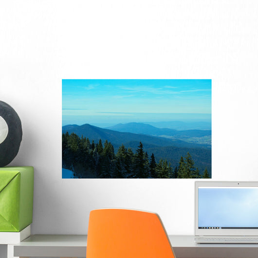 Landscape Wall Mural
