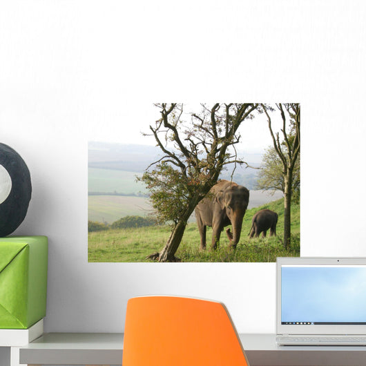 Elephants Wall Mural