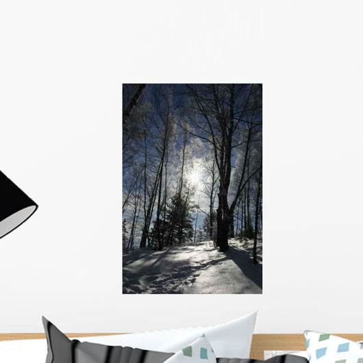 Winter Sun Wall Decal
