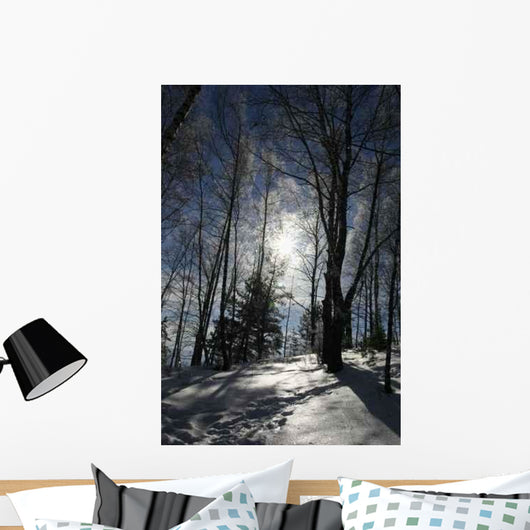 Winter Sun Wall Decal