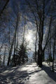 Winter Sun Wall Decal
