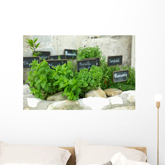 French herbs Wall Mural