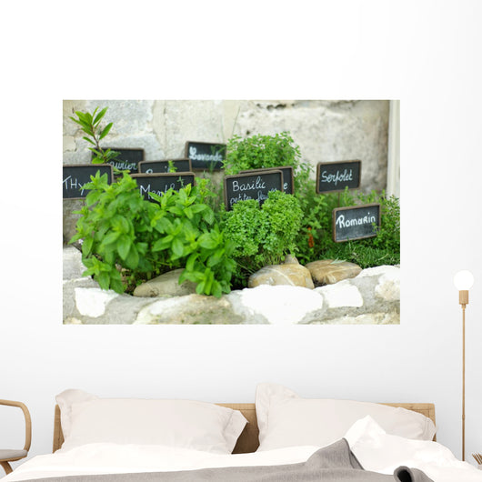 French herbs Wall Mural