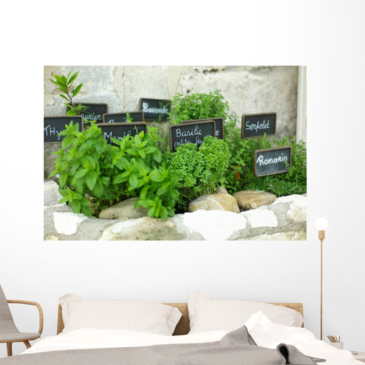 French herbs Wall Mural
