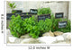 French herbs Wall Mural