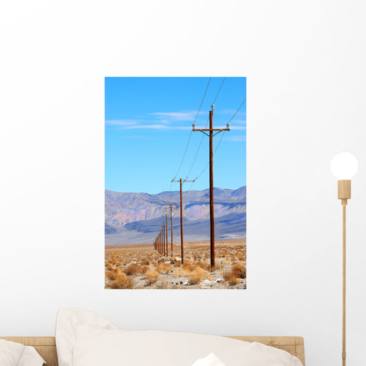 power lines death valley Wall Mural