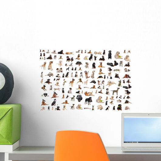 Purebred Dogs Wall Mural
