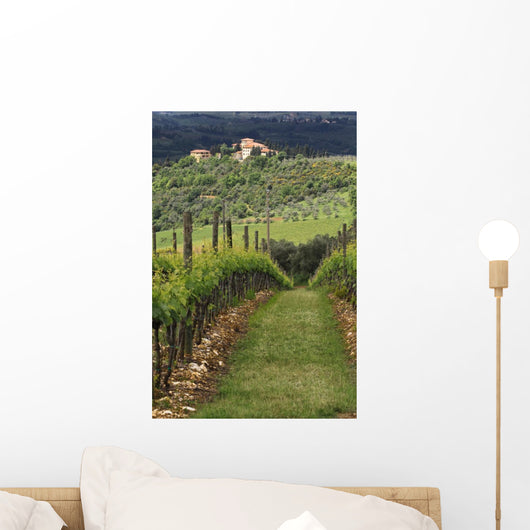 Tuscan Villa and Vineyard