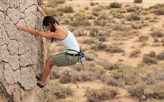 Climbing Wall Decal