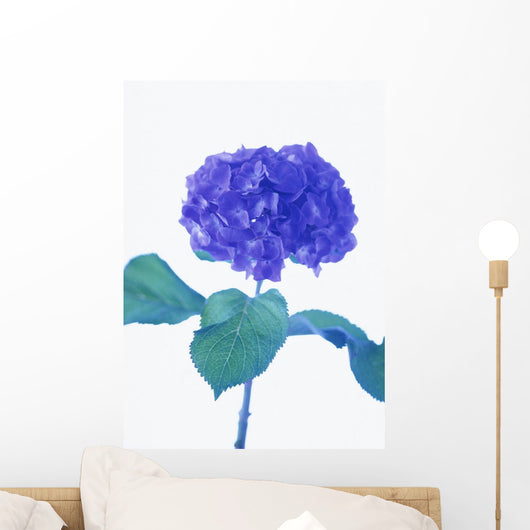 Flowers Wall Mural