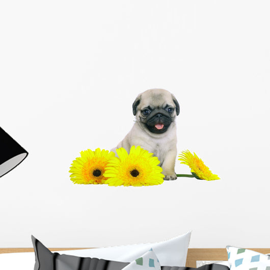Chrysanthemum Pug Puppy Wall Decal