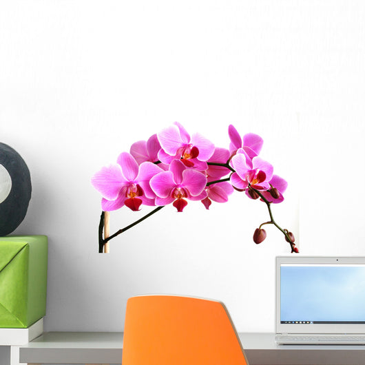 pink orchid Wall Decal