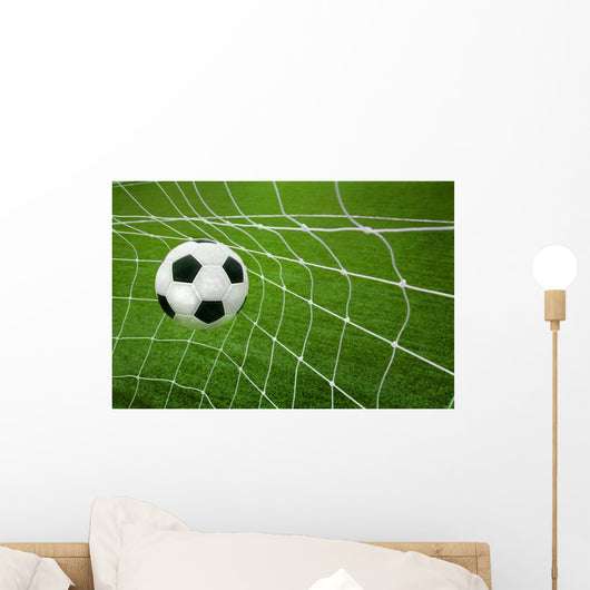Goal. a soccer ball in a net. Wall Mural