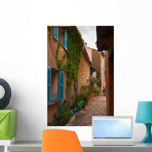 Street with Flower Pots