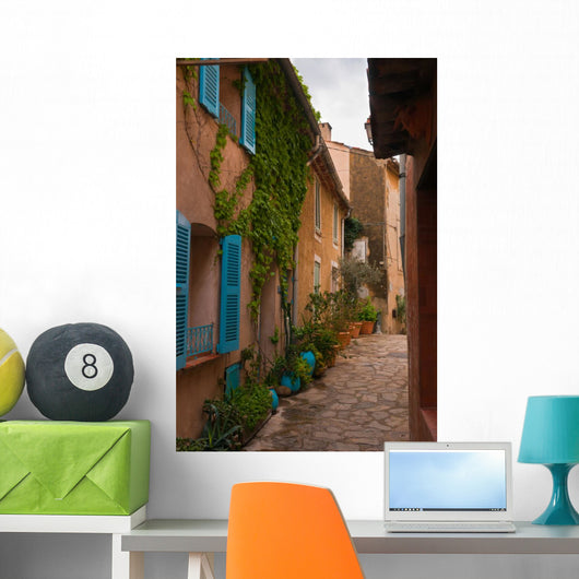Street with Flower Pots