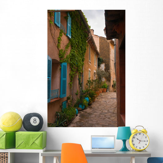 Street with Flower Pots