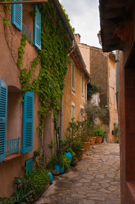 Street with Flower Pots