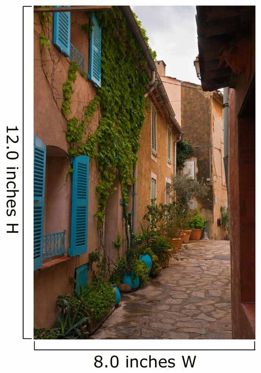 Street with Flower Pots
